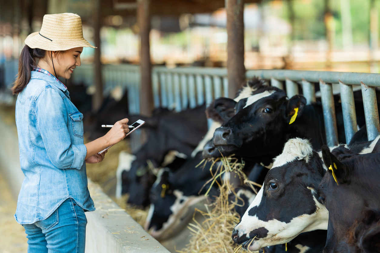 Happy farmer recording data of her cows on her iPad